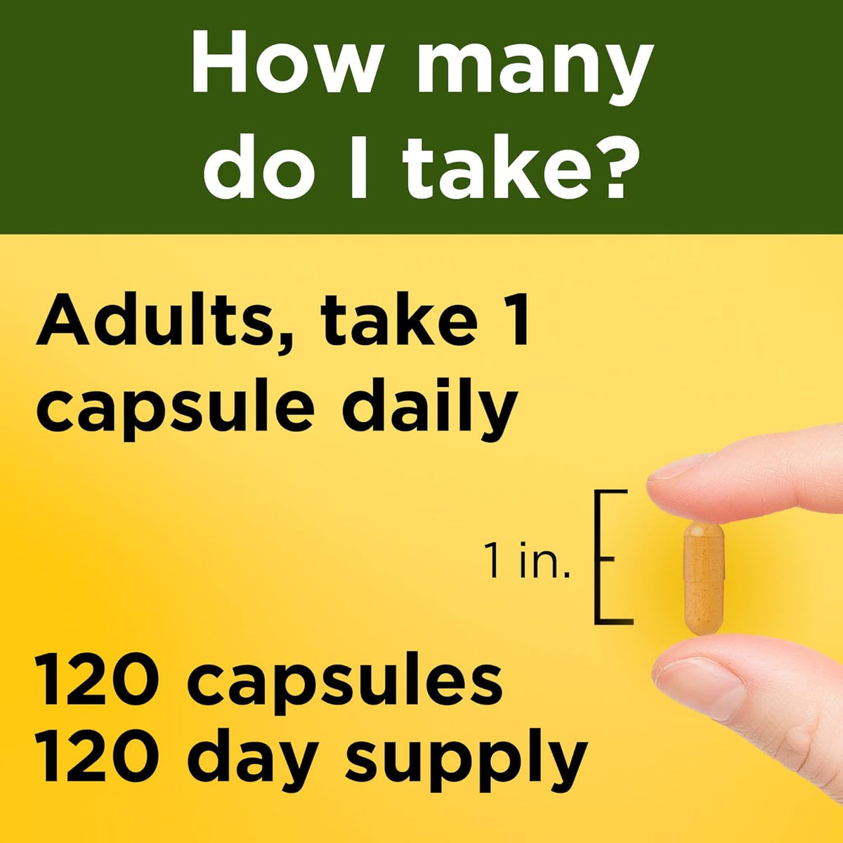 Nature Made Turmeric Curcumin 500 mg, Turmeric Curcumin Supplement for Antioxidant Support, Herbal Supplements, 120 Capsules, 120 Day Supply